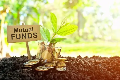 Mutual Funds purchased the most in August were Adani Power, Zomato, Indian Railway Catering And Tourism Corporation and Tata Power Company.