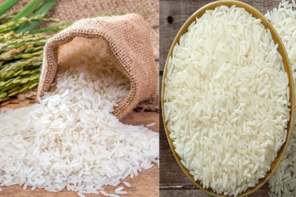 Rice: India is predicted to maintain export restrictions on rice.
