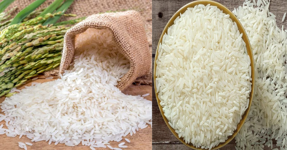 Rice: India is predicted to maintain export restrictions on rice.