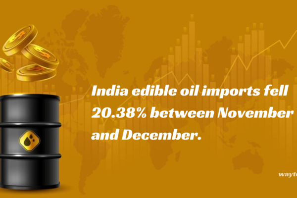 India edible oil imports fell 20.38% between November and December.