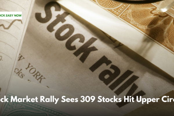 Stock Market Rally Sees 309 Stocks Hit Upper Circuit